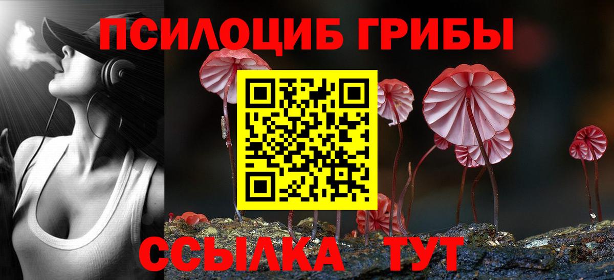 Сочи  Псилоцибиновые грибы Psilocybe  Галлюциногенные грибы Psilocybine cubensis  Вход с VPN 